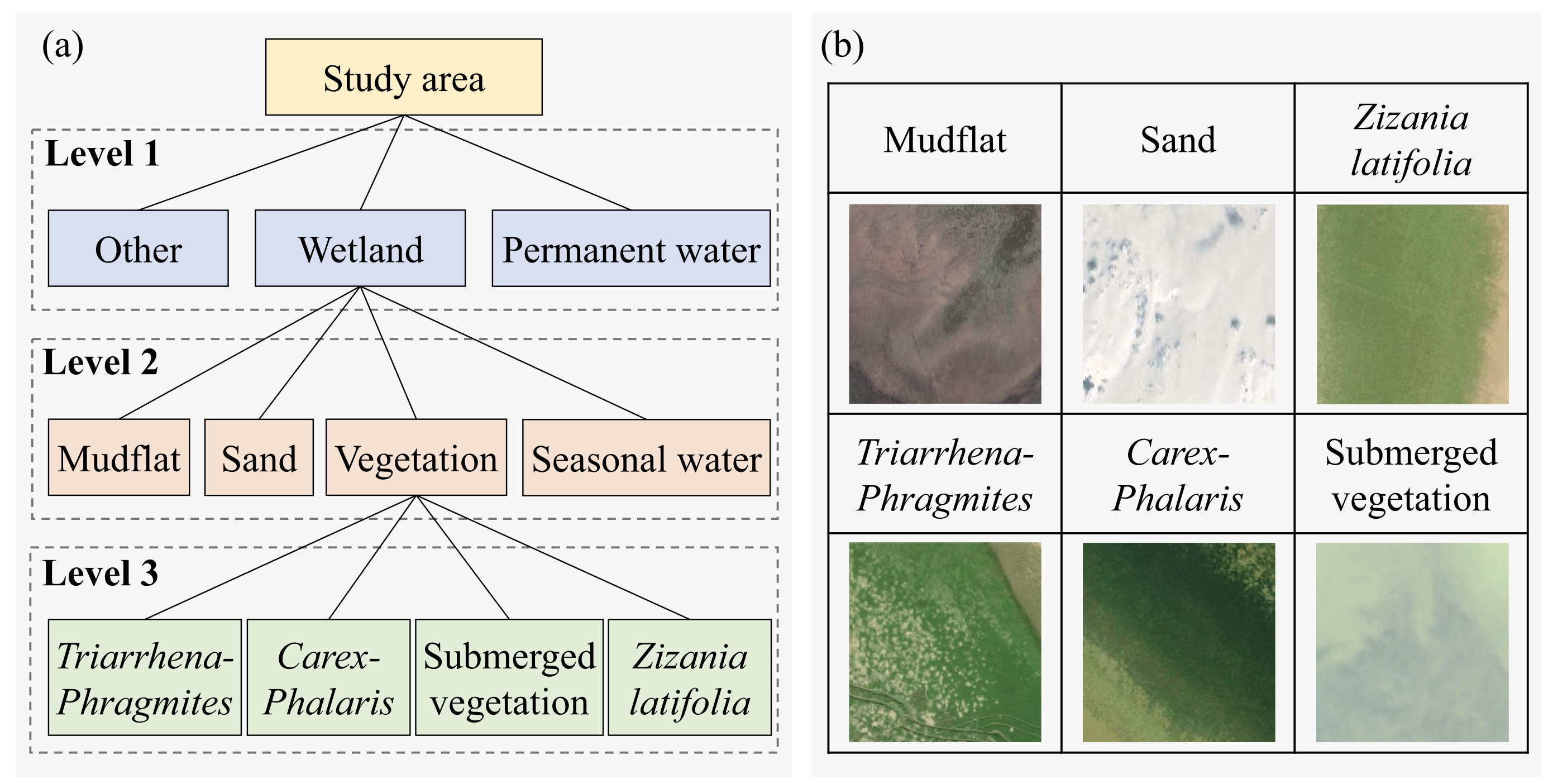 image-20250624142201324