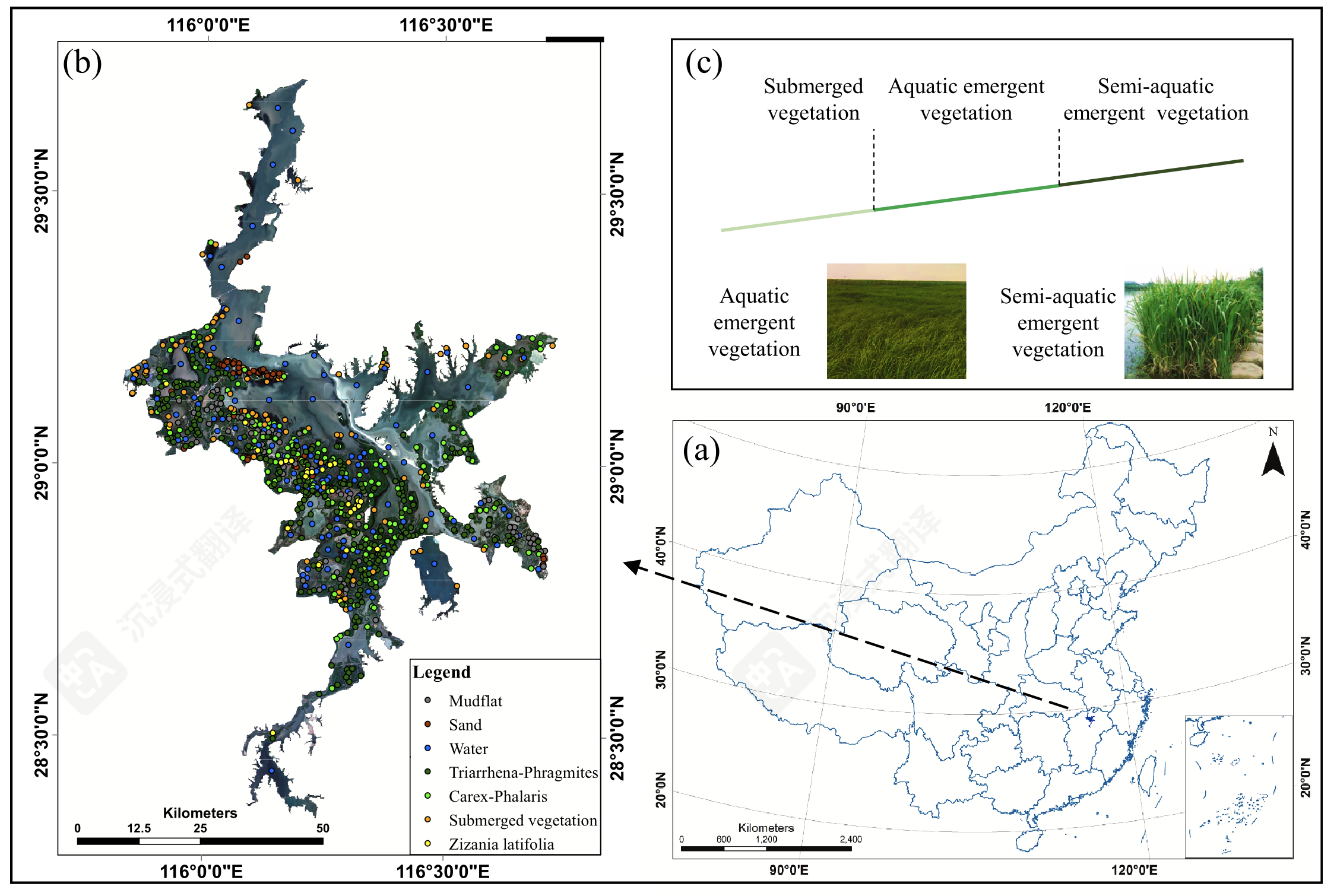 image-20250624163748811