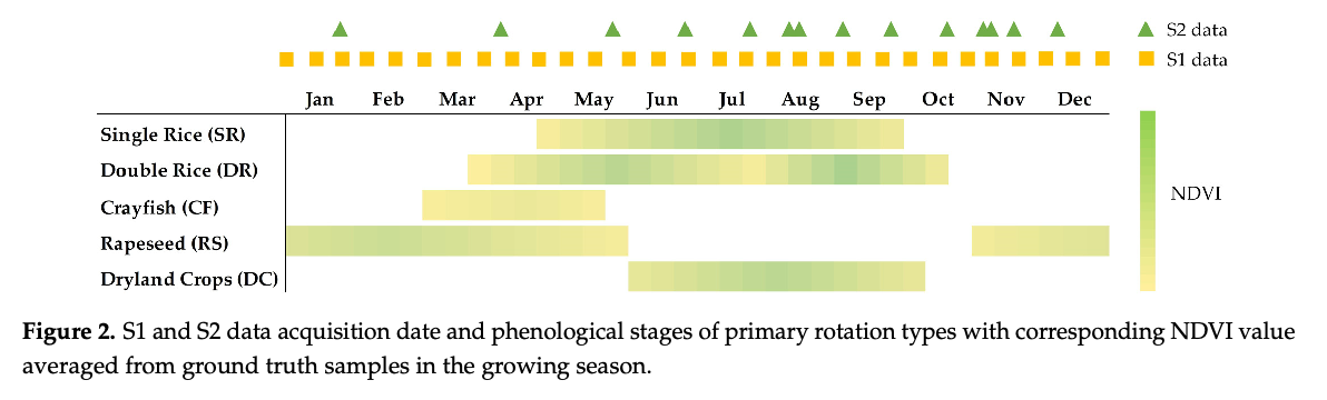image-20250711172145848
