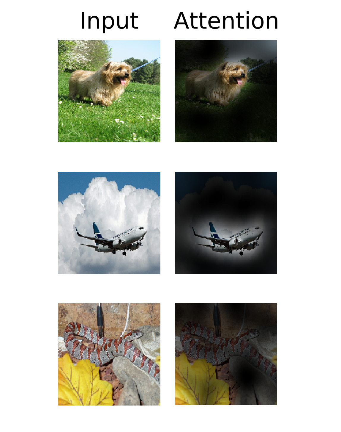 image-20250810202745893